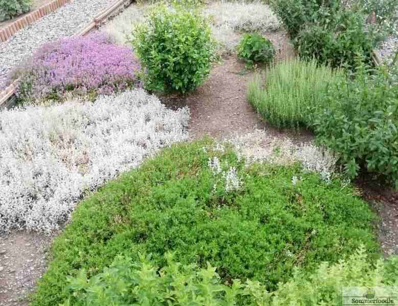 jardin de Dalhias en Andorre