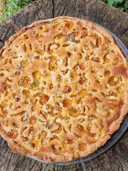 Tarte aux mirabelles