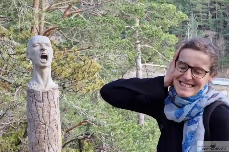 Sculpture tête qui crie Bosc de Viu Ordino.