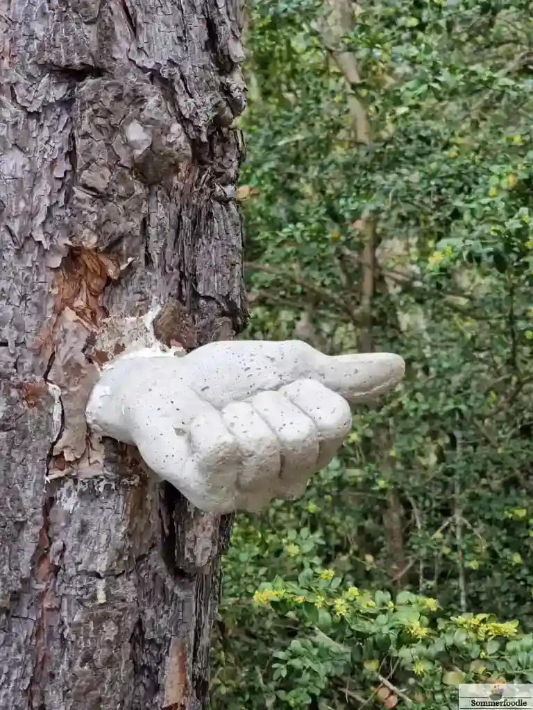 Sculpture d'une main sur un tronc d'arbre, Bosc de Viu Ordino.