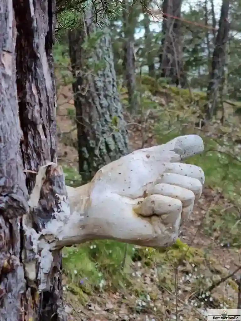 Sculpture d'une main sur un tronc d'arbre, Bosc de Viu Ordino.