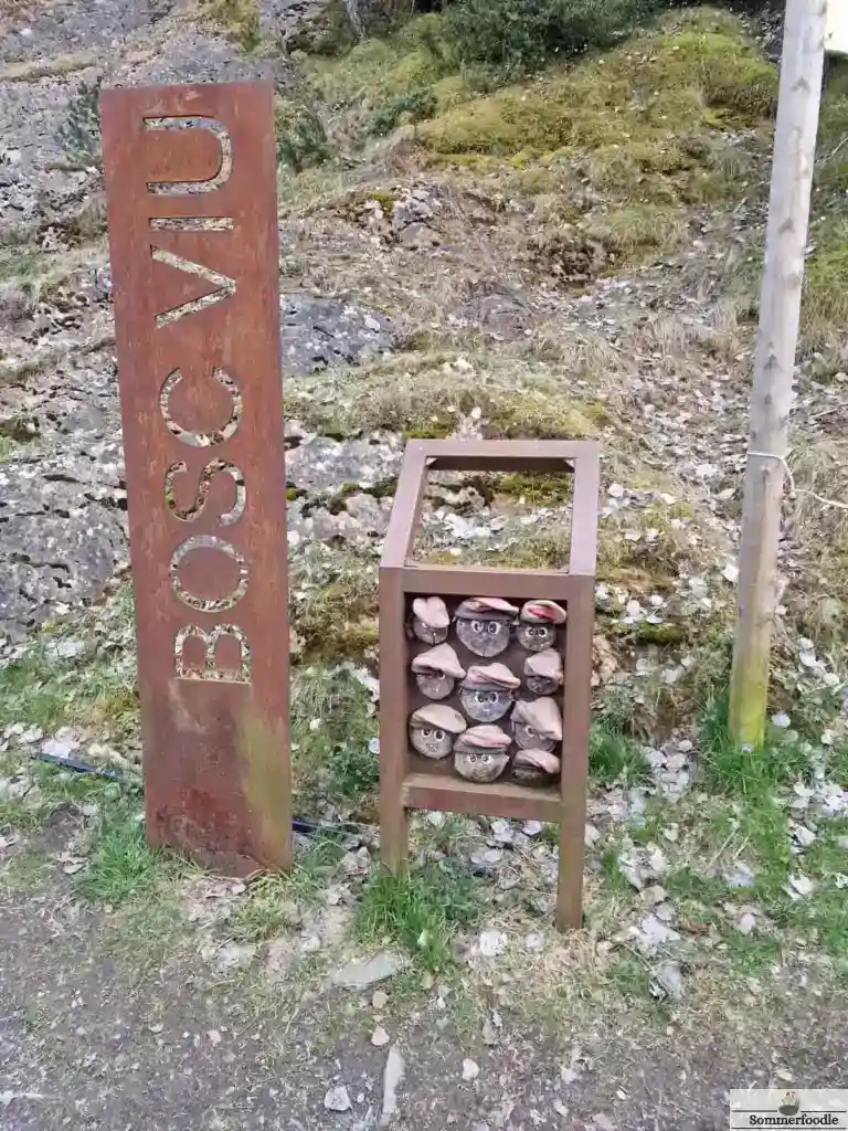 Tios Bosc de Viu Ordino.