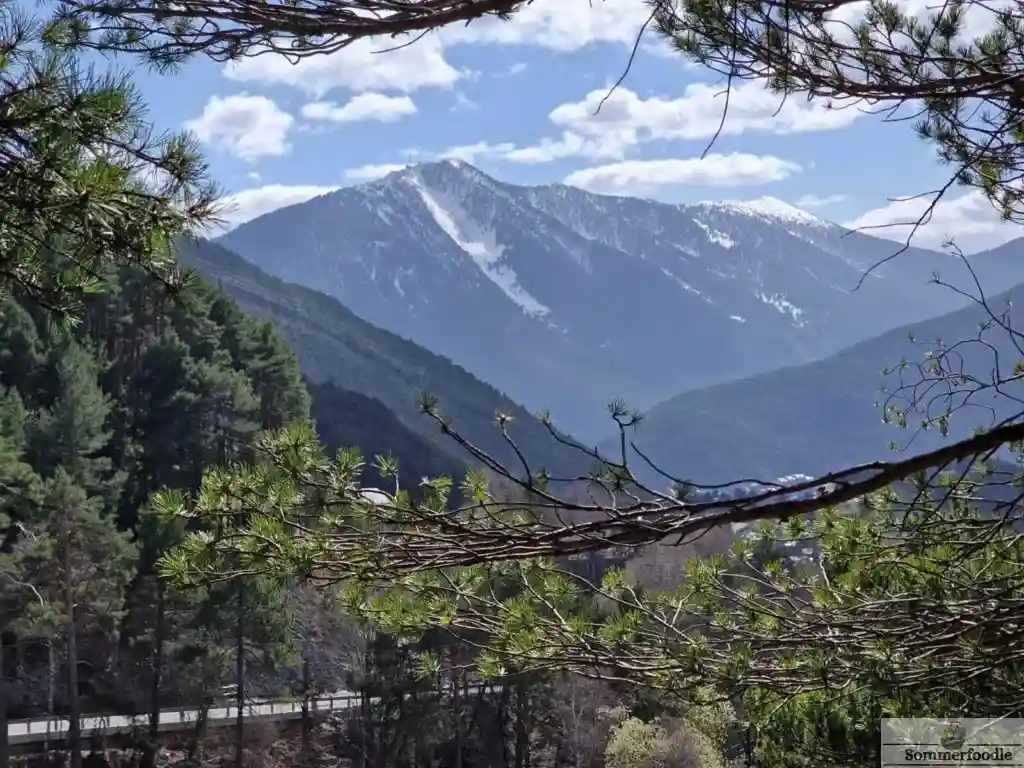 Paysage Bosc de Viu Ordino.