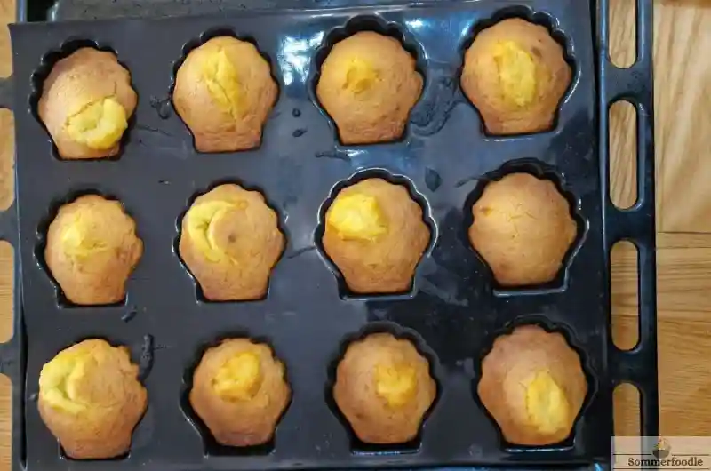 Plaque madeleines