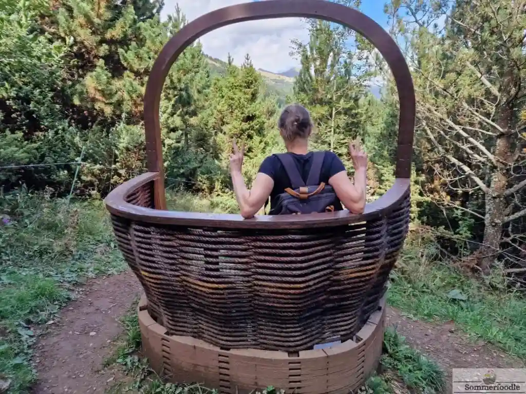 Panier à champignon géant