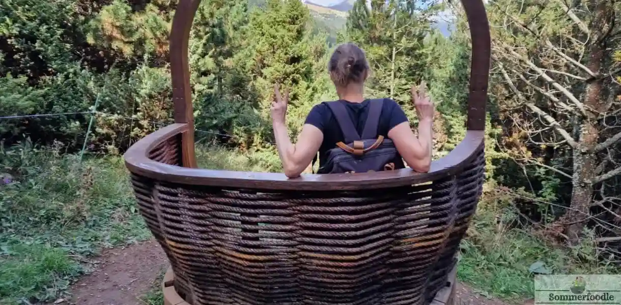 Panier à champignon géant