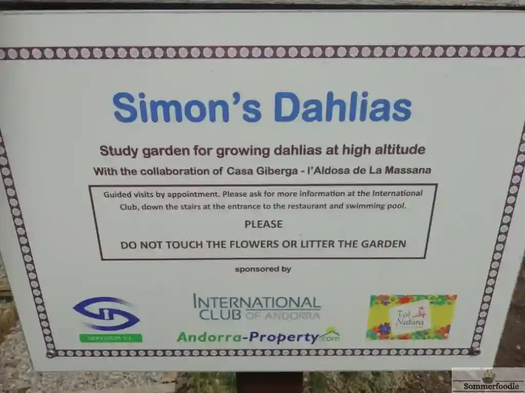 Panneau Simon Dahlia garden