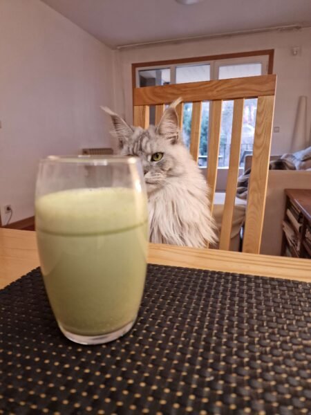 Thé Matcha
