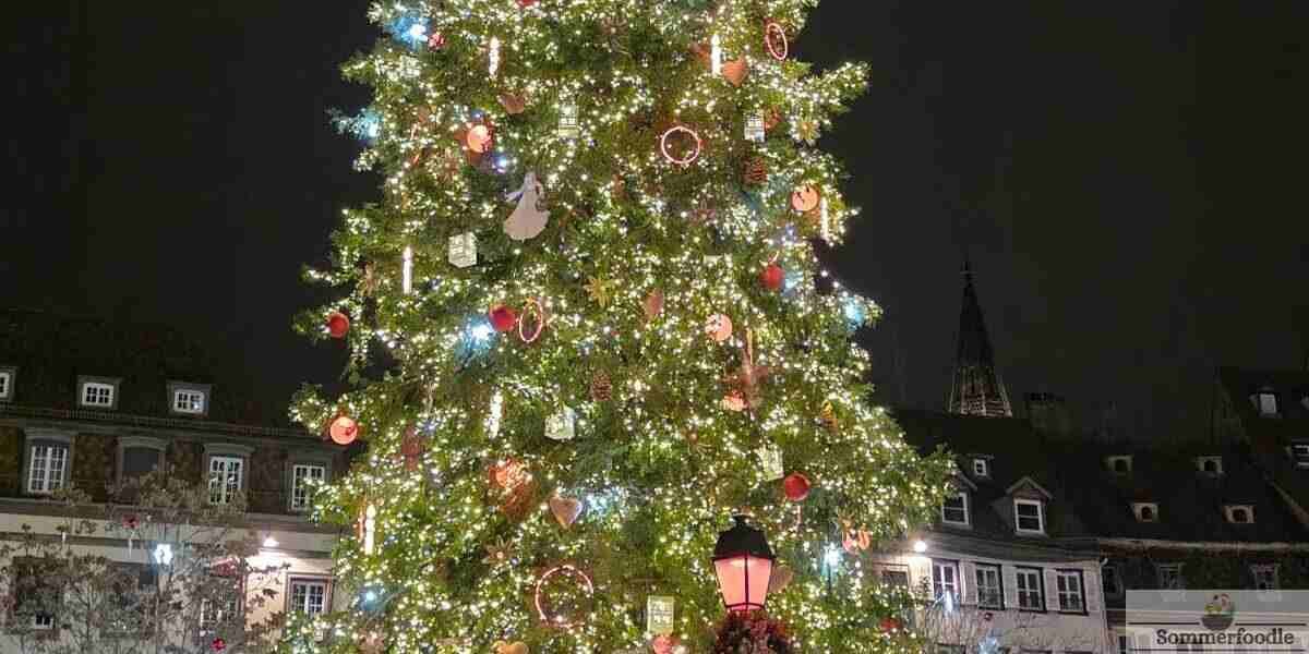 Marché de Noel-Strasbourg-2025