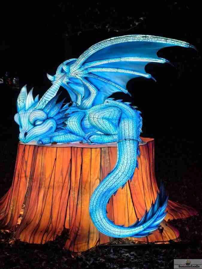 Bébé dragon en lanterne chinoise