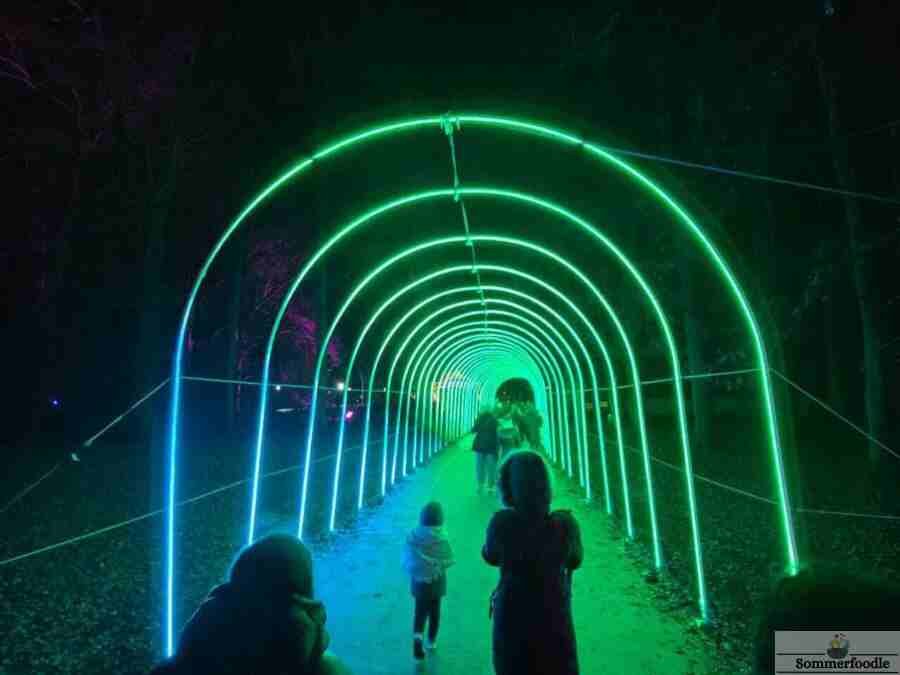 Tunnel-lumineux-vert