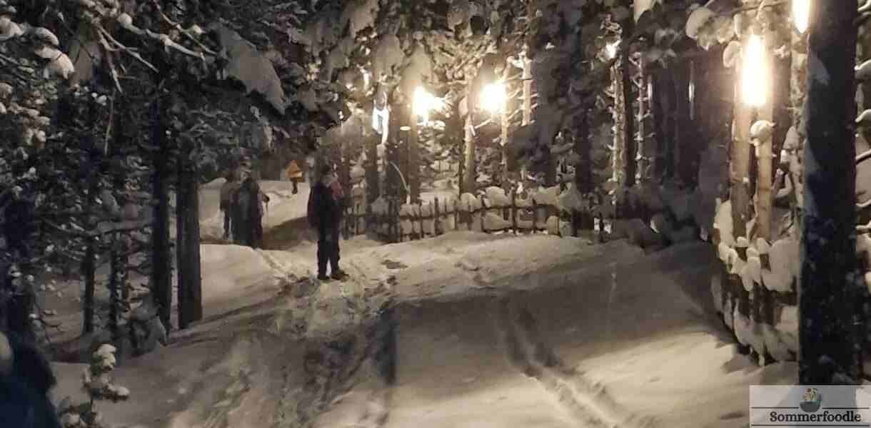 Raquettes sous la pleine lune 0 Pal en Andorre