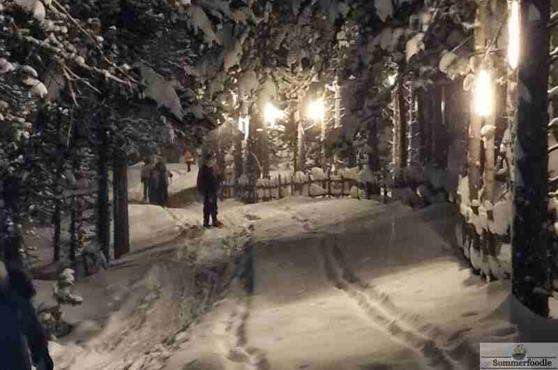 Raquettes sous la pleine lune 0 Pal en Andorre