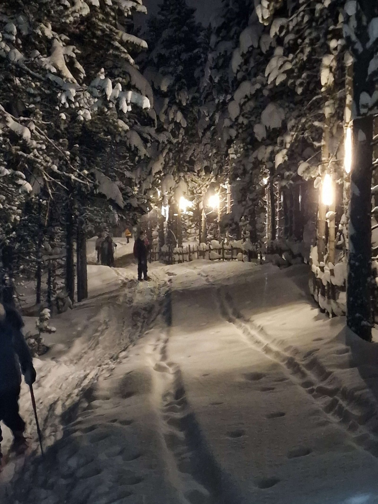 Raquettes sous la pleine lune 0 Pal en Andorre