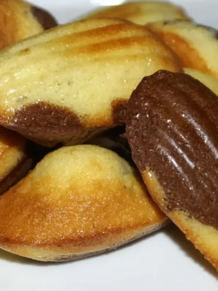 Madeleines vanille chocolat