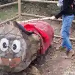 Tio de Nadal géant et sa couverture