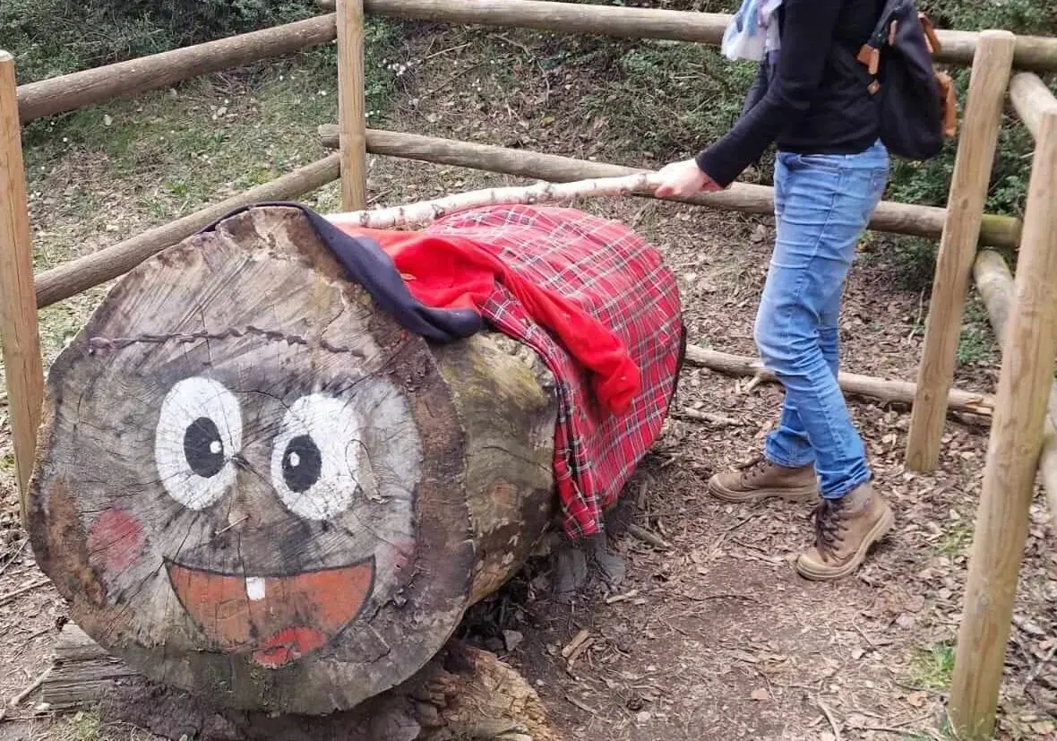 Tio de Nadal géant et sa couverture