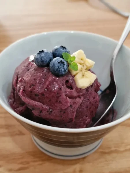 sorbet ba,ane-myrtilles 100% fruits et 0 sucre