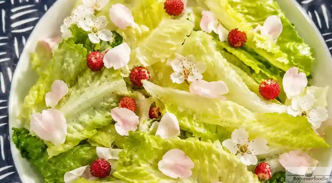 Salade sauvage après cueillette en montagne