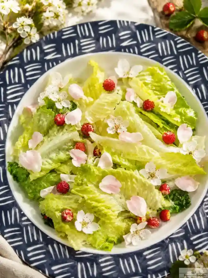 Salade sauvage après cueillette en montagne
