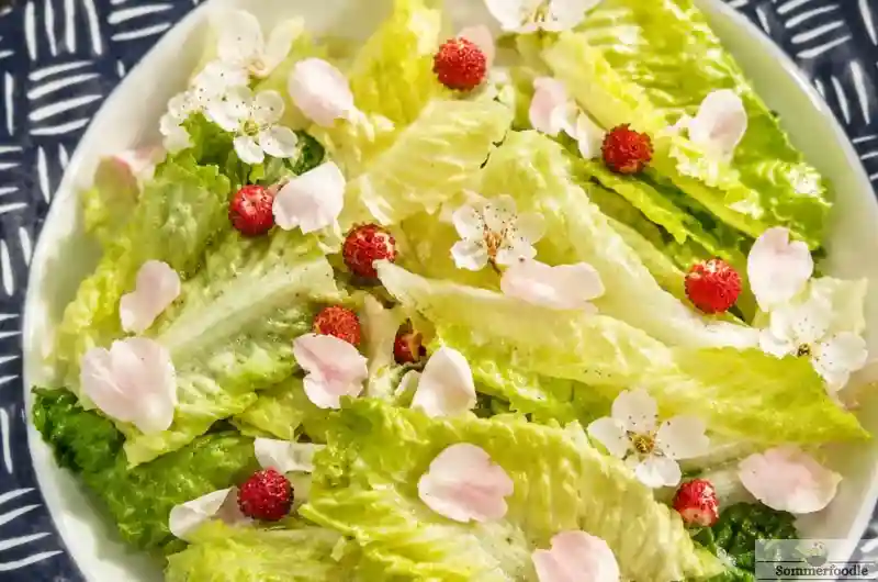 Salade sauvage après cueillette en montagne