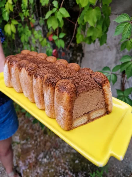 Charlotte choocolat café façon, bûche