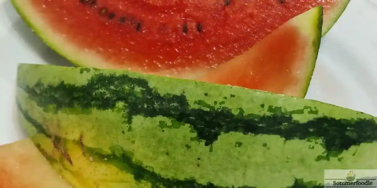 Tranches de pastèque